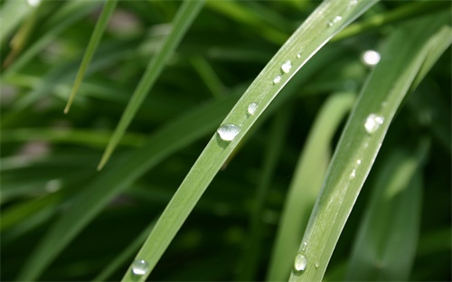 吻合器市场现状,用弹力线环治痔疮手术更安全可靠